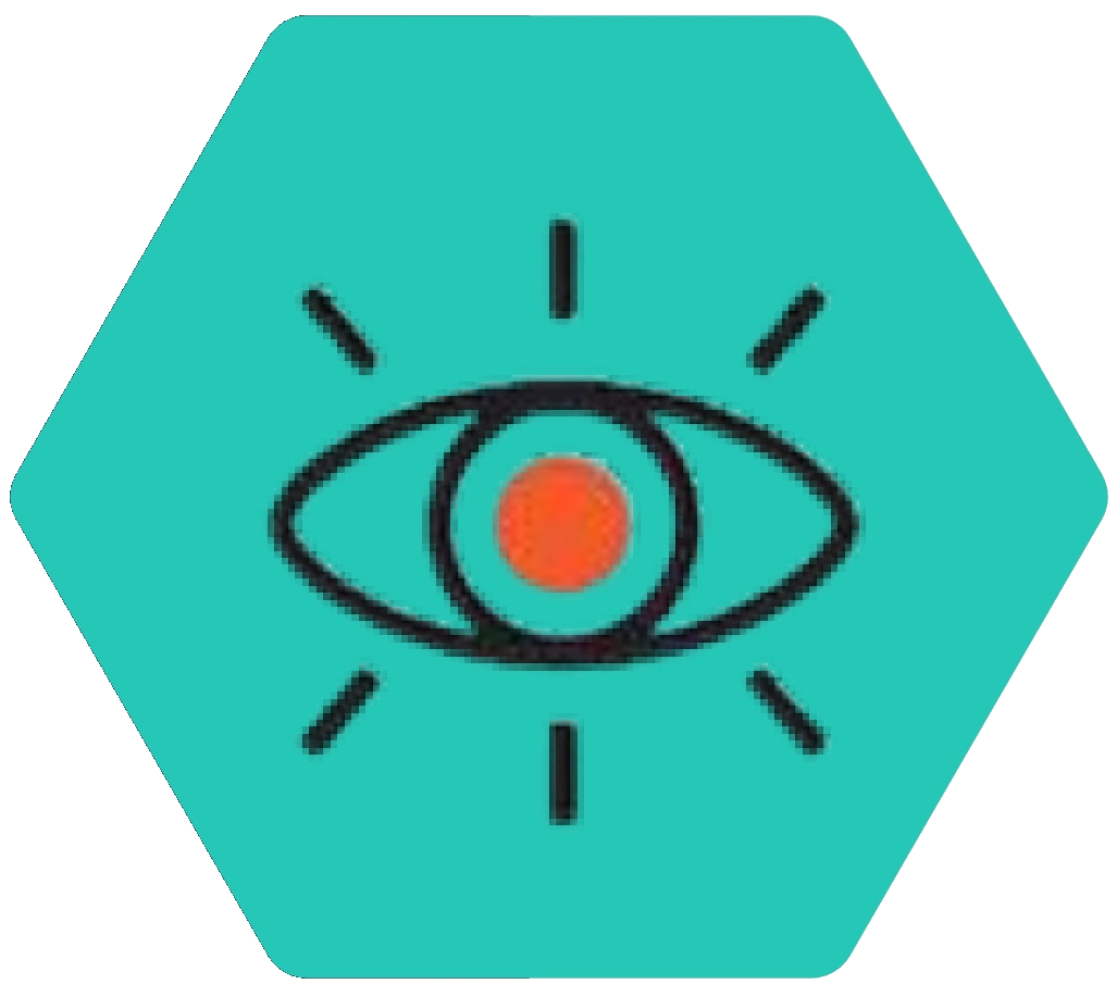 Visión